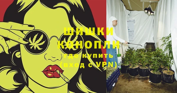 дживик Белокуриха