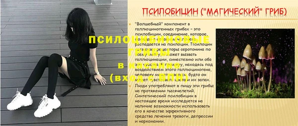 молекула духа Баксан