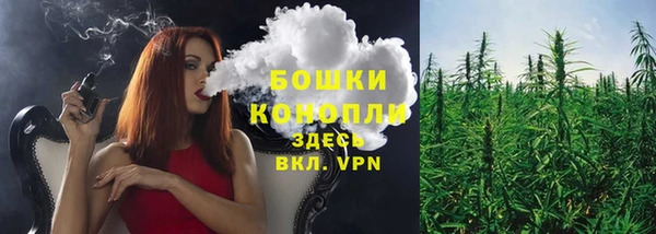 соль ск Балахна