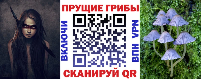 Галлюциногенные грибы Psilocybe  Гремячинск 